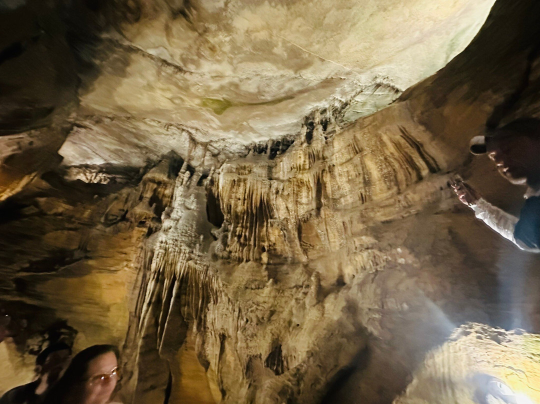 Rickwood Caverns State Park-Warrior必去景点