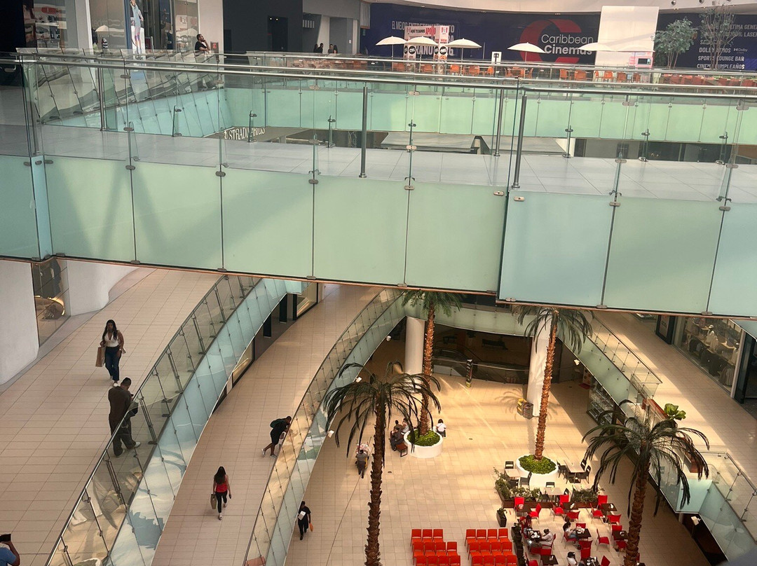 Agora Mall-圣多明哥必去景点