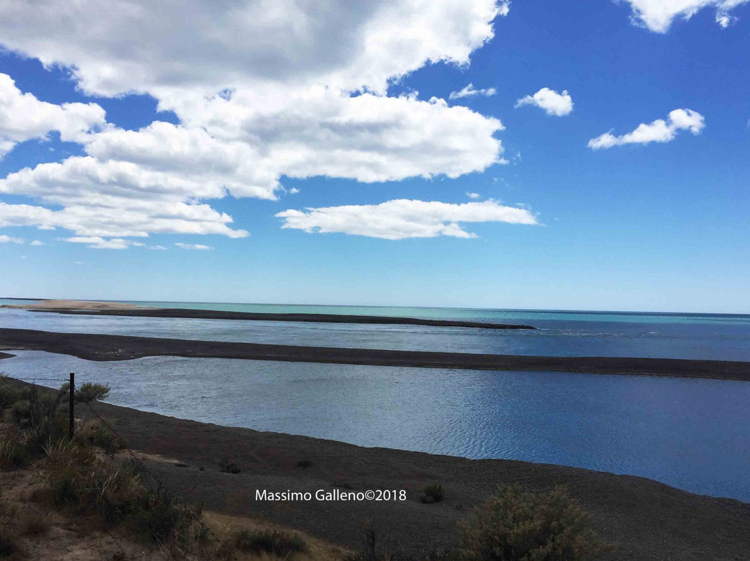 Caleta Valdes-Puerto Piramides必去景点