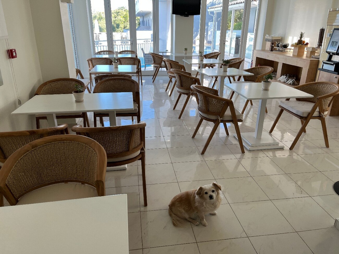赞特万神殿酒店主图