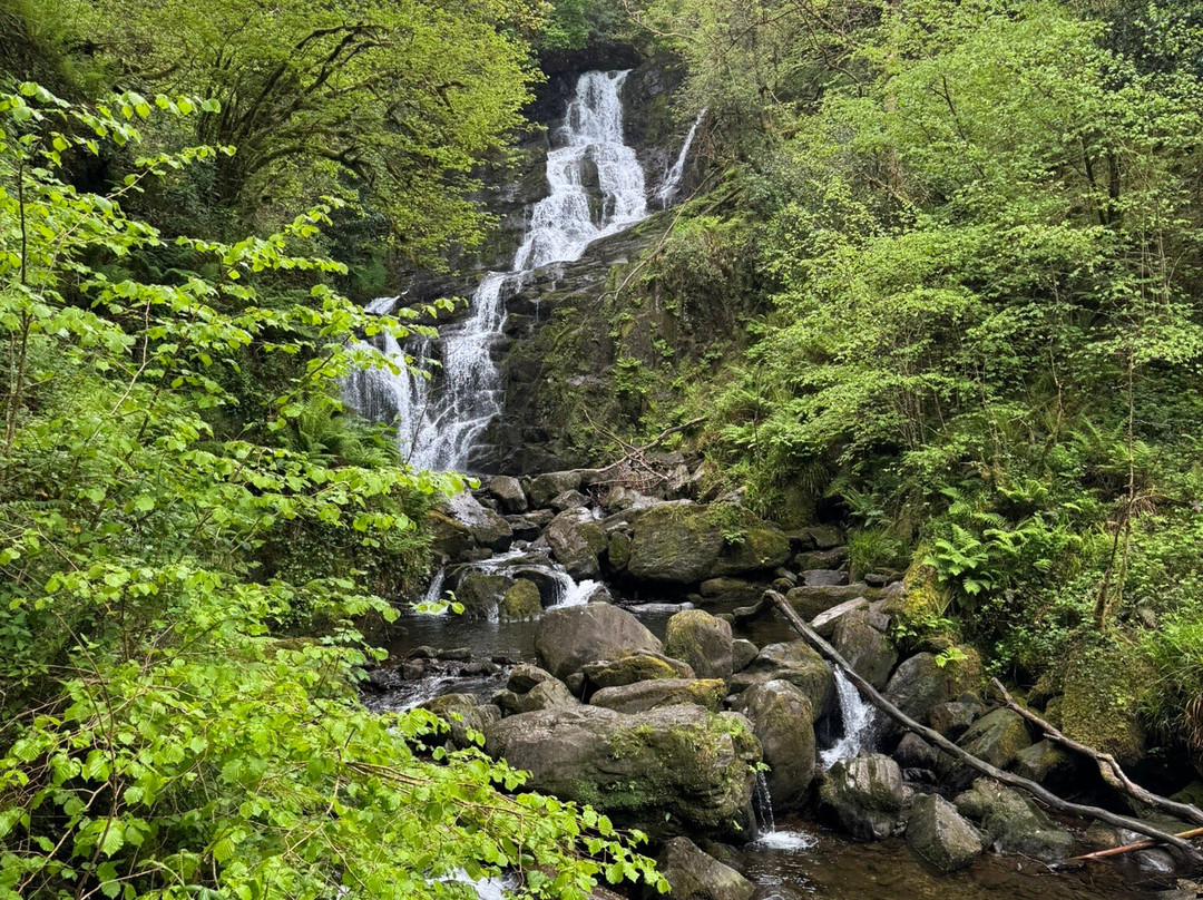 Torc Waterfall-基拉尼必去景点
