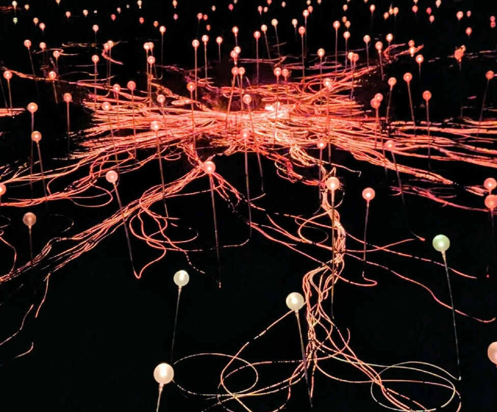 Field of Light-乌鲁鲁-卡塔丘塔国家公园必去景点