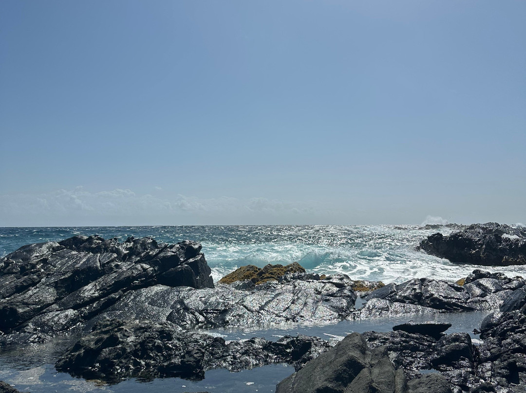 ABC Tours Aruba-奥腊涅斯塔德必去景点