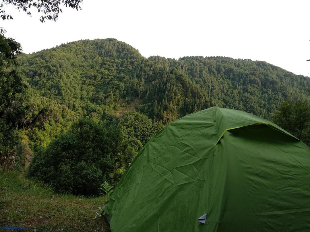 Ara Camps