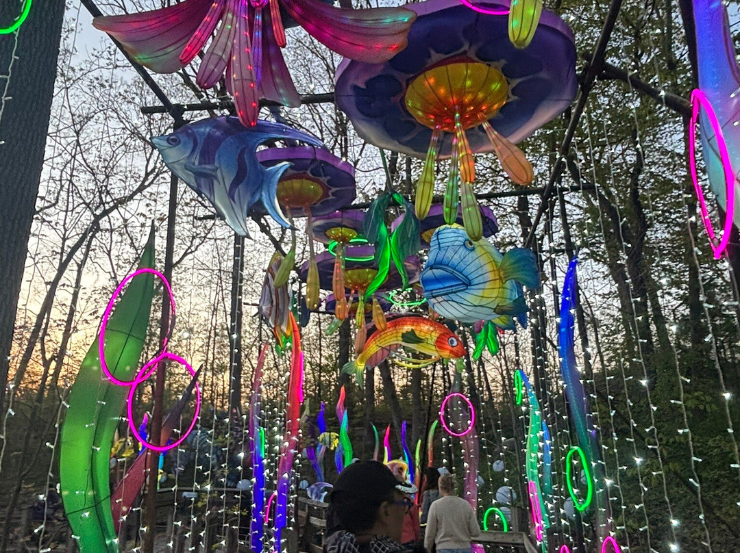John Ball Zoo-大急流市必去景点