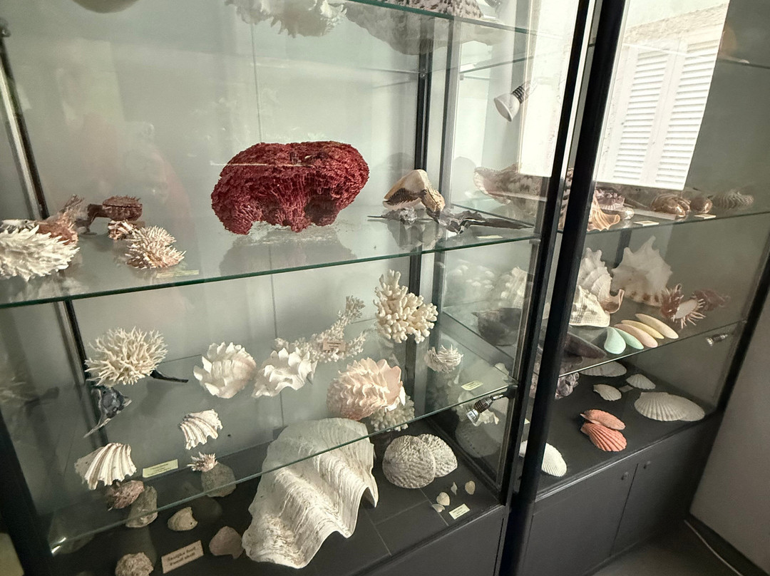 Aquarium Terrarium-克尔克必去景点