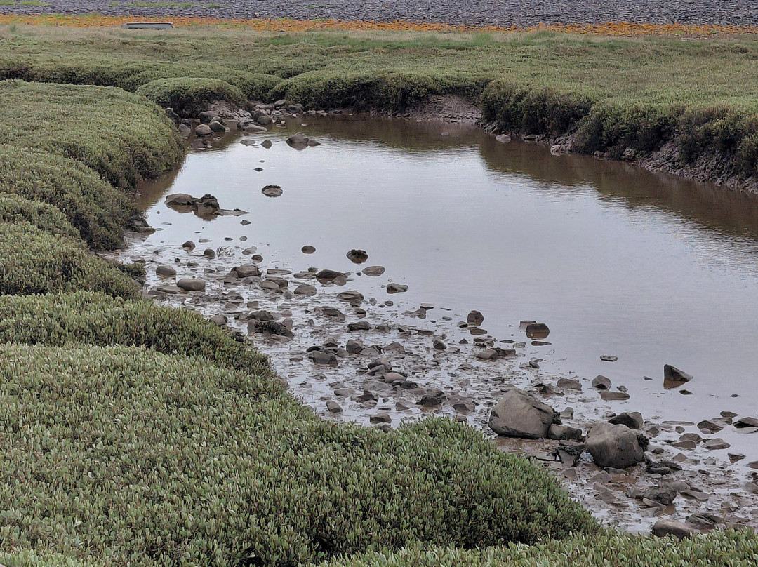 Porlock Weir Beach