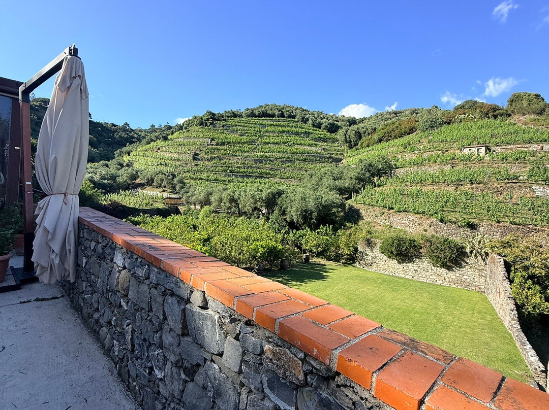 Buranco Agriturismo-滨海蒙特罗梭必去景点