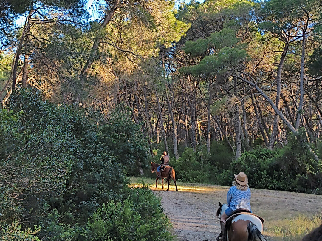 Family Horses 373-5361953-Marina di Ginosa必去景点