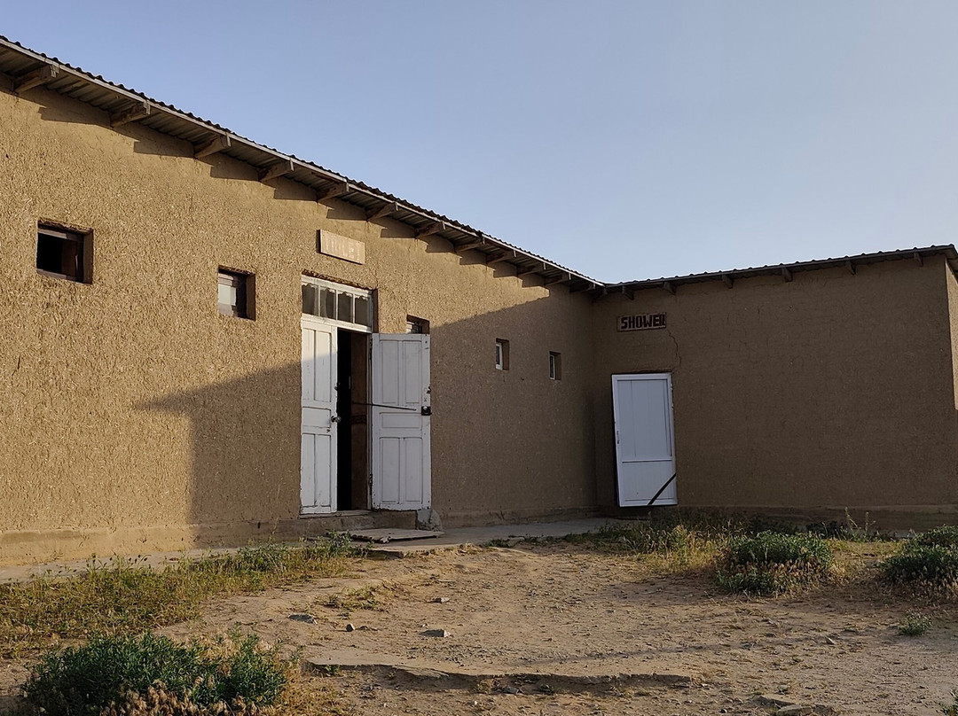 Qizilqum Safari Yurt Camp