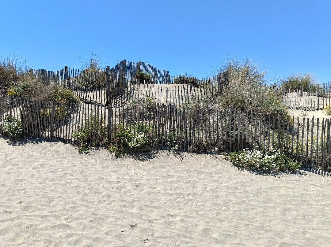 Plage de l’Espiguette-勒格罗迪鲁瓦必去景点