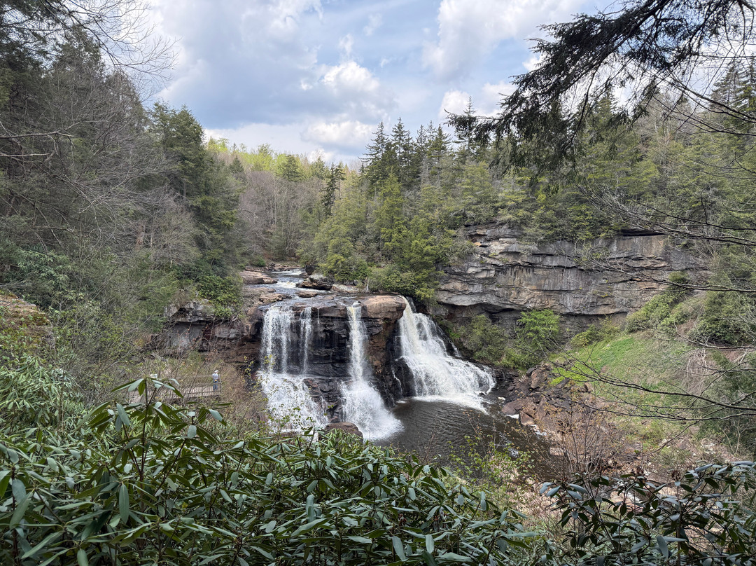 Blackwater Falls State Park-戴维斯必去景点