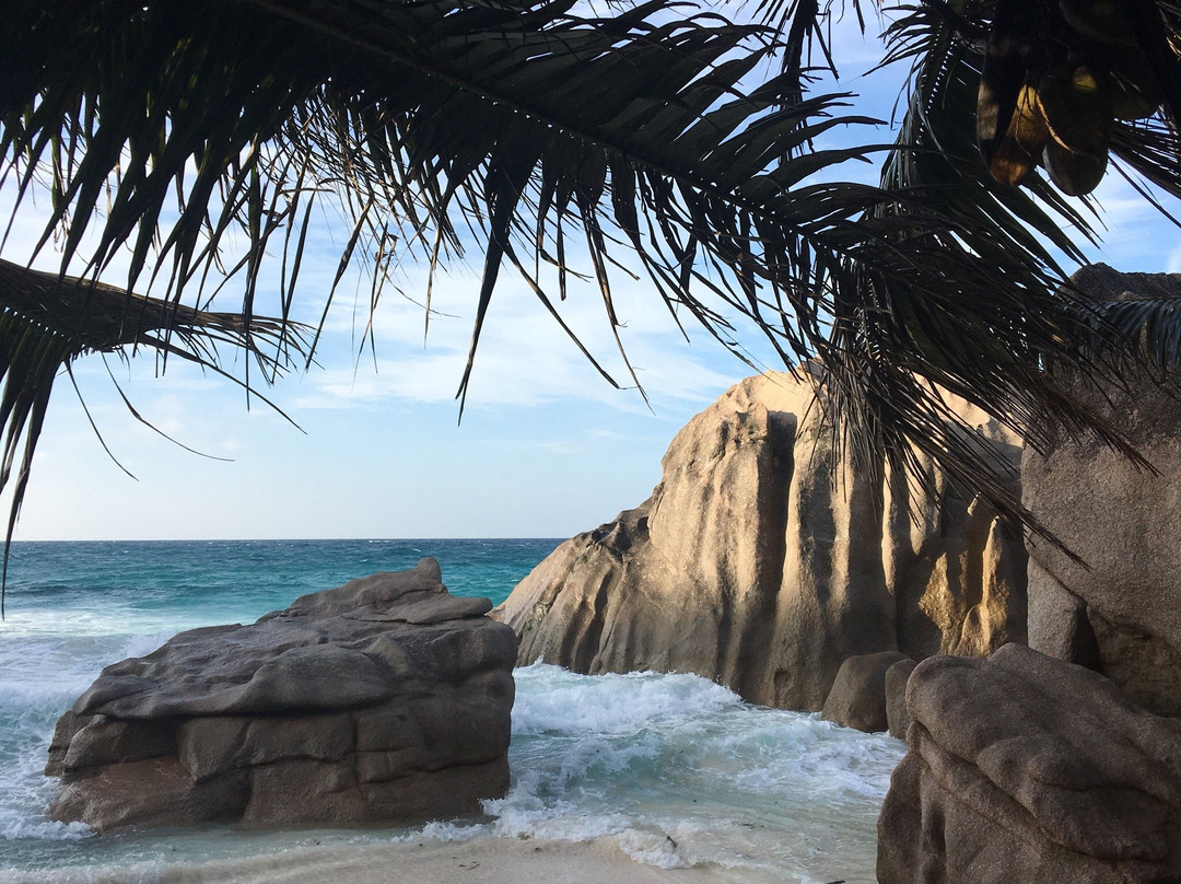 Anse Patates Beach-拉迪格岛必去景点