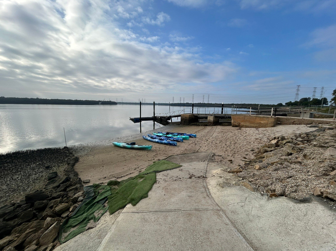 Adelaide Dolphin Sanctuary-Port Adelaide必去景点