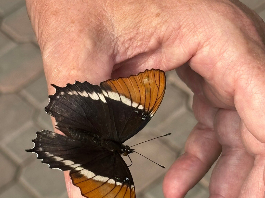 Newfoundland Insectarium-Reidville必去景点