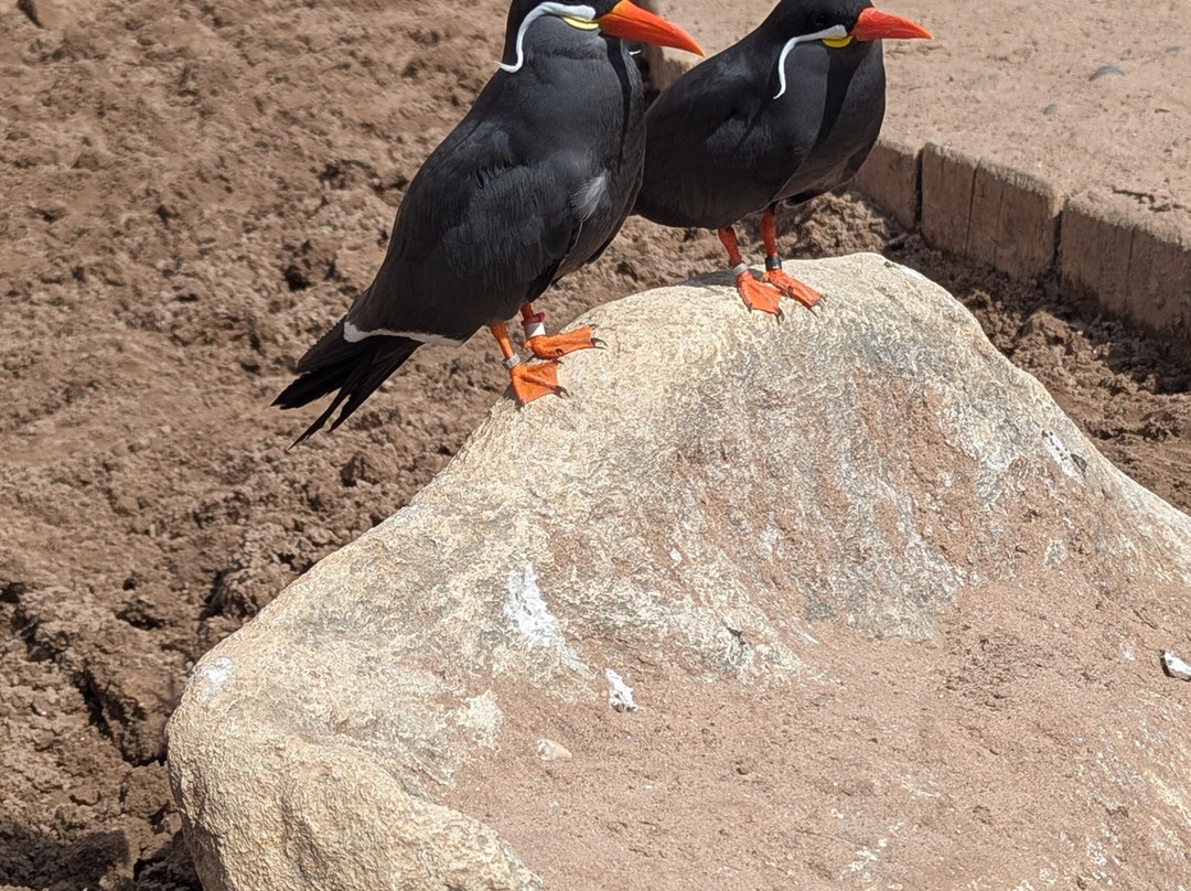 SEA LIFE Hunstanton-Hunstanton必去景点