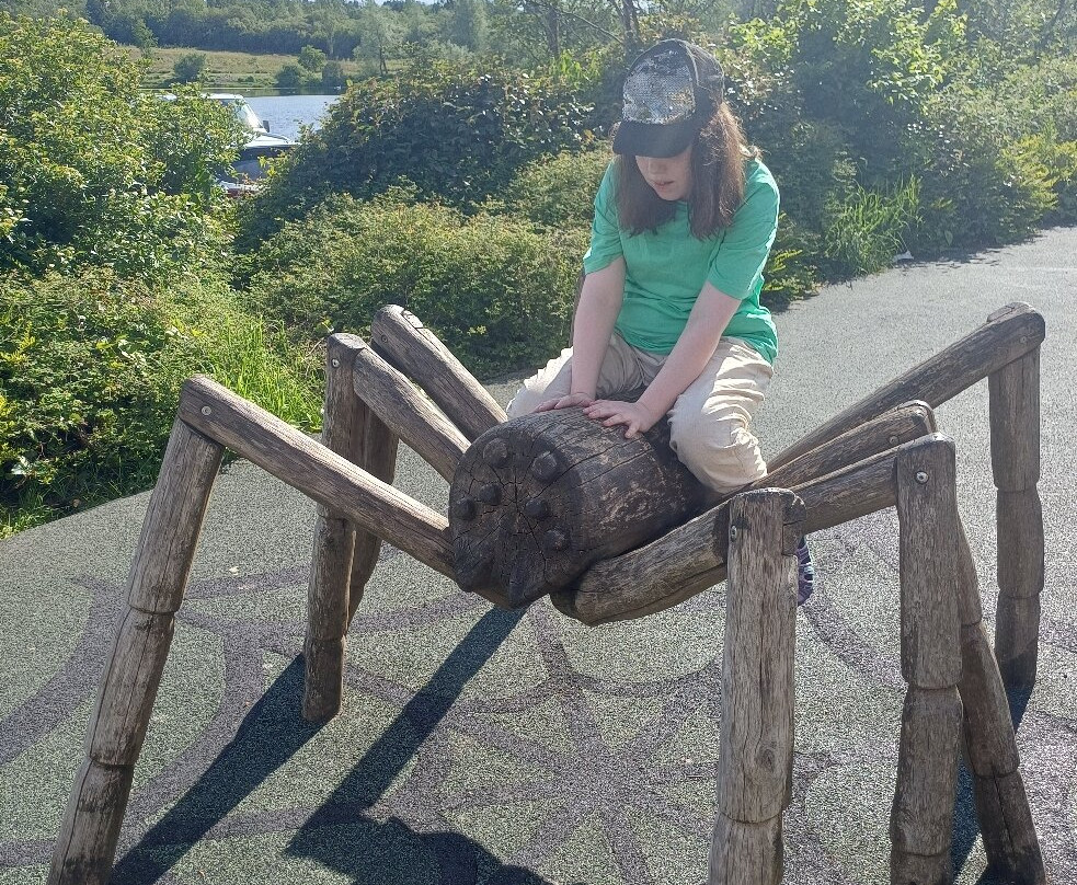 Parc Bryn Bach-Tredegar必去景点