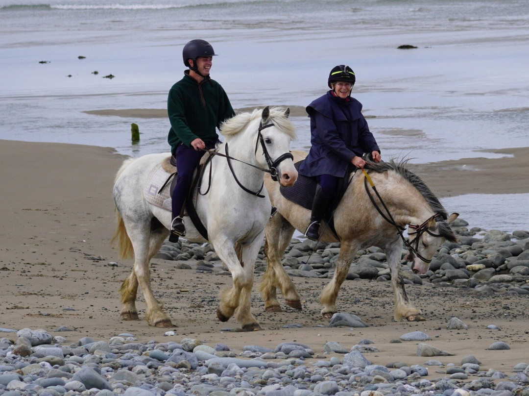 Pony Trekking at Bwlchgwyn Farm-Arthog必去景点