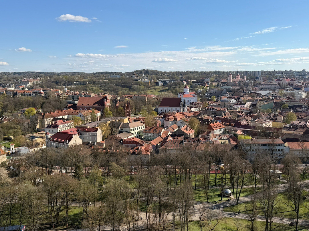 Gediminas Castle Tower-维尔纽斯必去景点