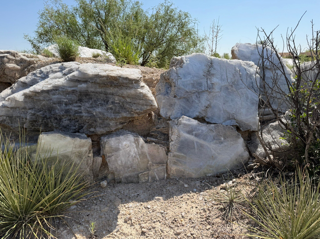 Living Desert Zoo and Gardens State Park-卡尔斯巴德必去景点