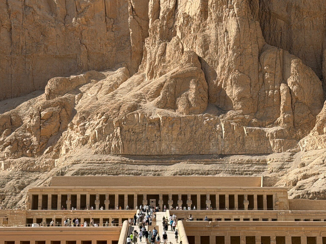 Travel Sawa - Amr Badawy-Nasr City必去景点