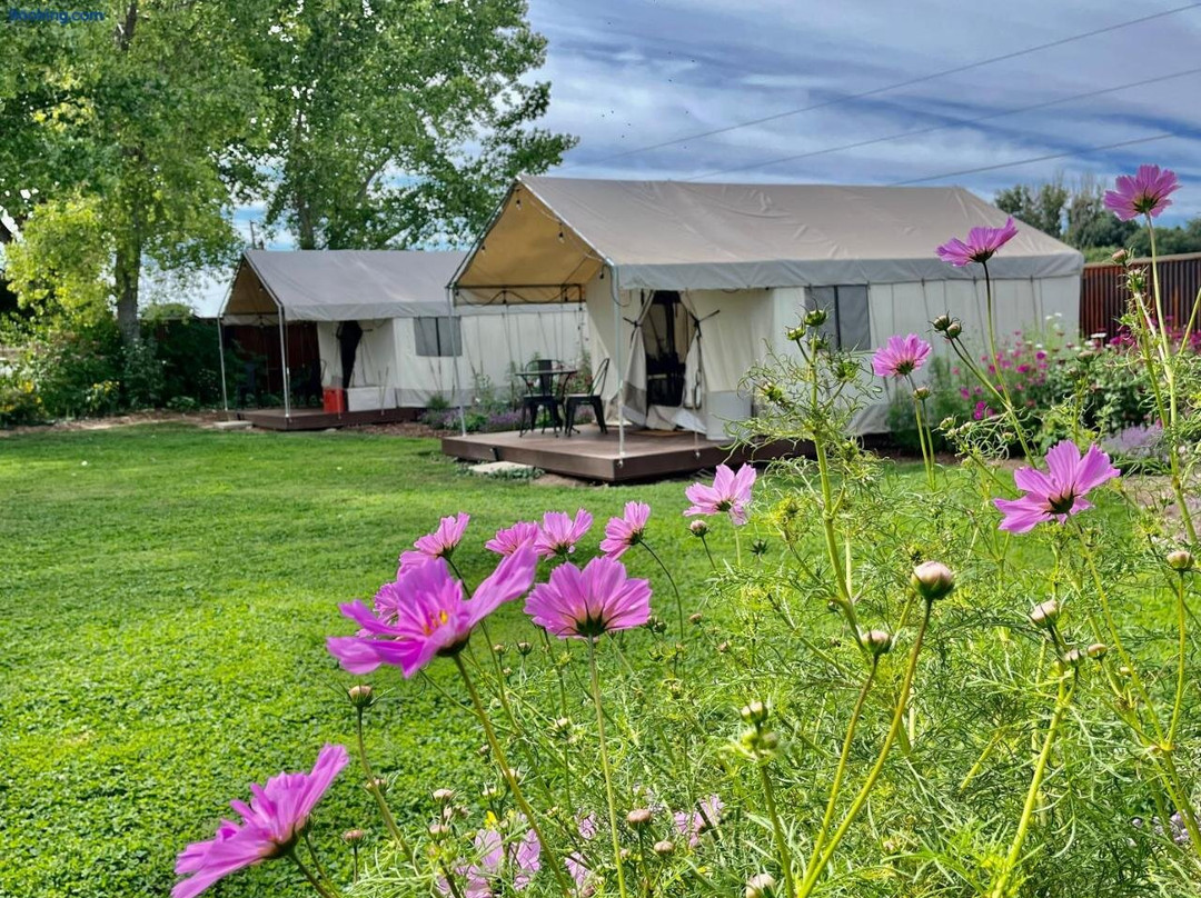 Daisy Glamping Tent