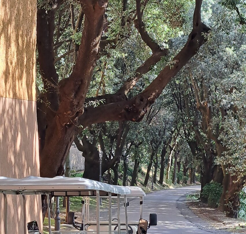 Giardini di Villa Barberini - Borgo Laudato Si'-冈多菲堡必去景点