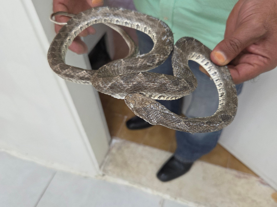 Jordanian Natural History Museum-Irbid必去景点