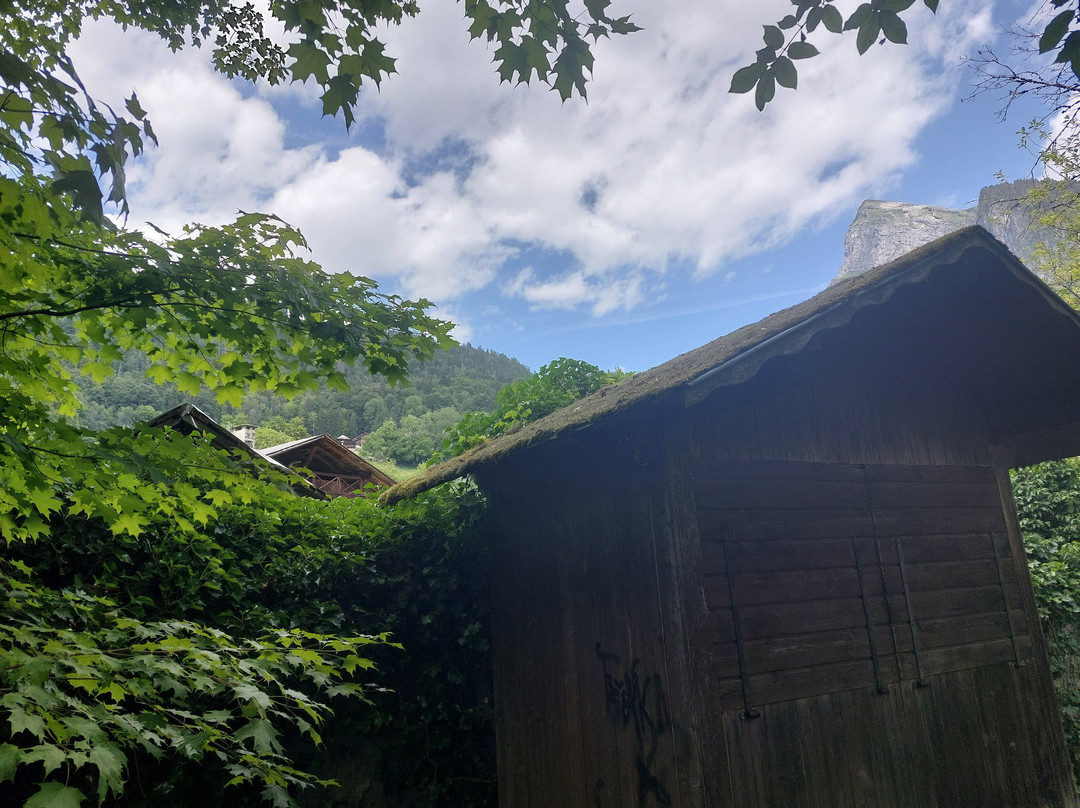 Jardin alpin La Jaÿsinia-Samoens必去景点