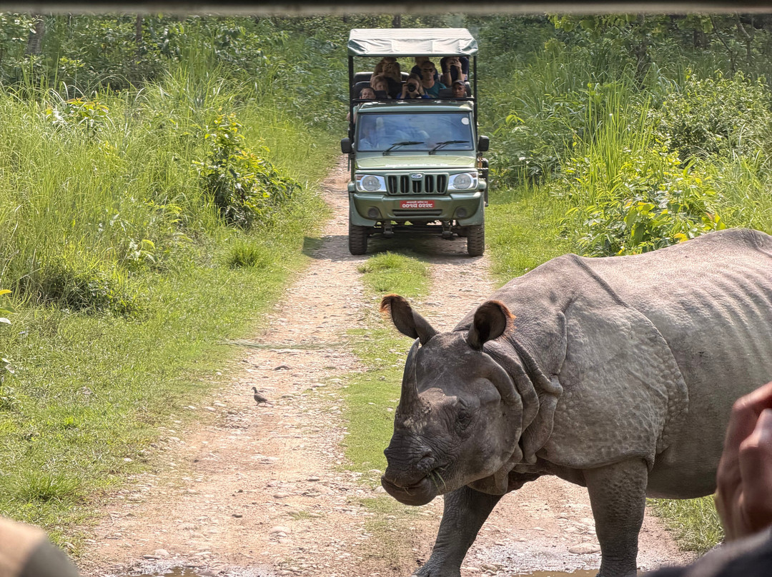 Nature Encounter Tours-苏拉哈必去景点