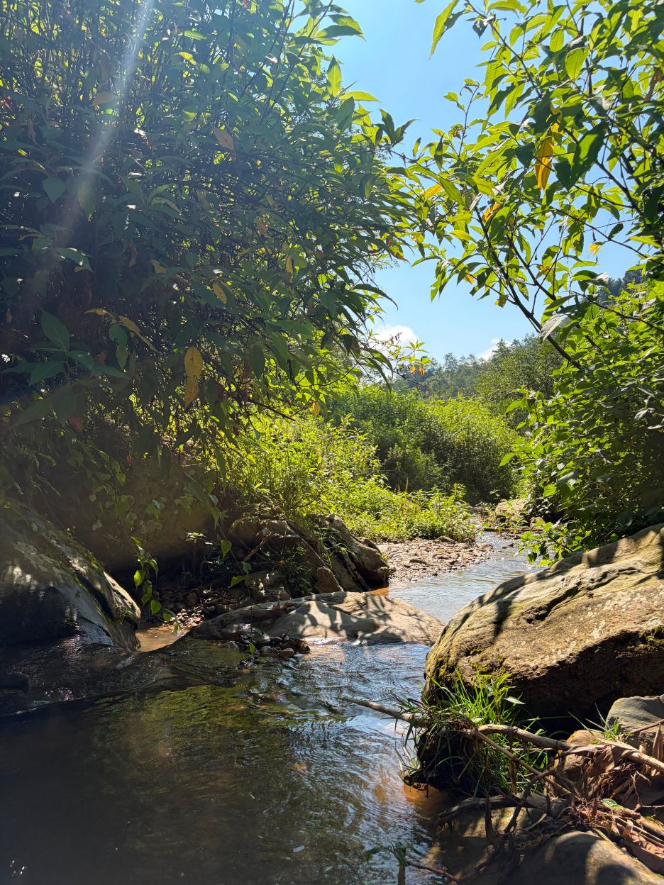 The Farm Stays at Herb Nepal-旅行者