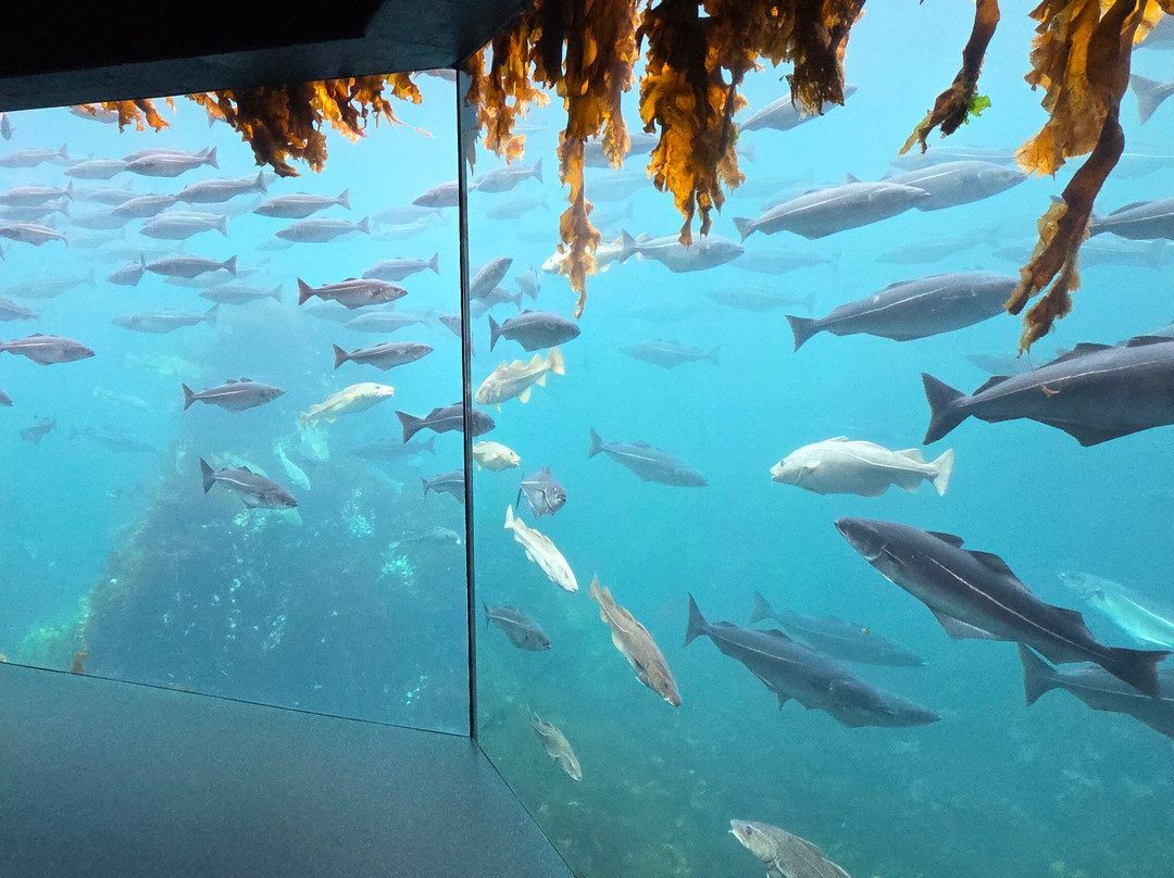Atlantic Sea Park-奥勒松必去景点