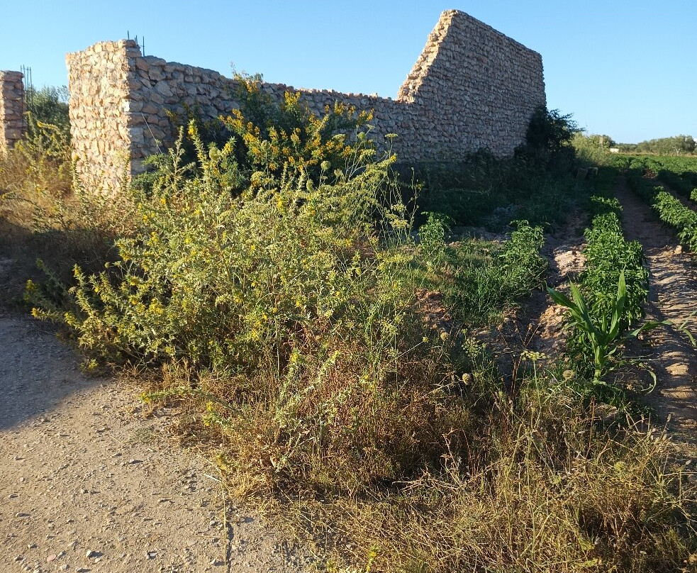 Quad Hammamet-Bir Bou Rekba必去景点
