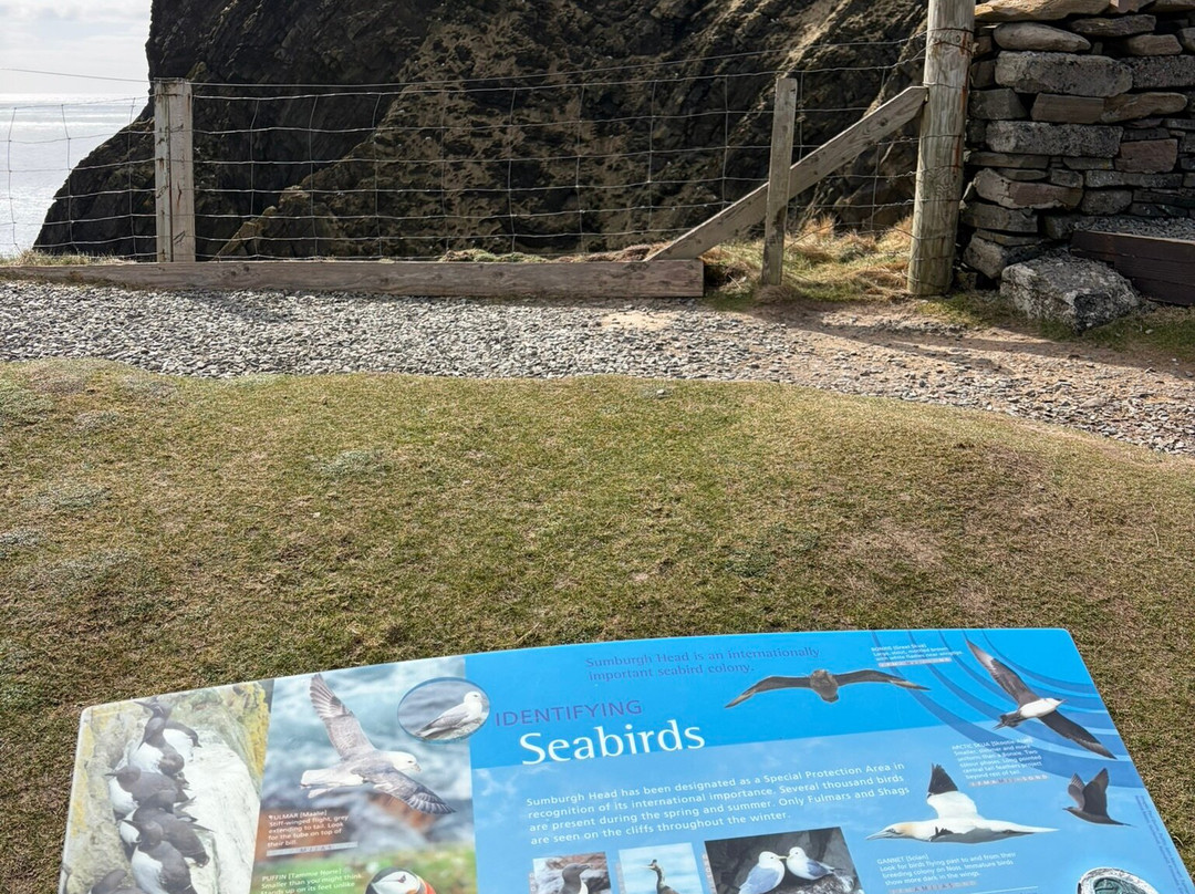 Sumburgh Head Lighthouse-Sumburgh必去景点