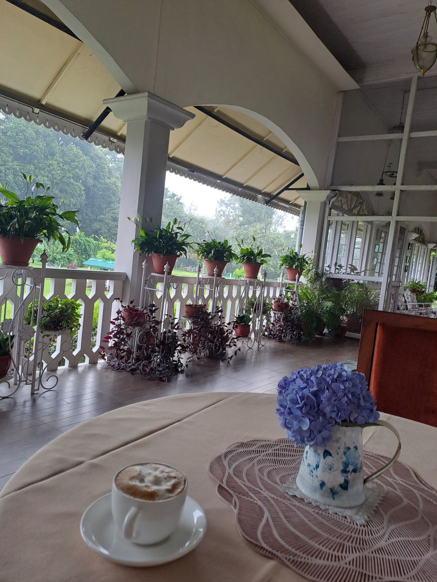 Baradighi The Bungalow-旅行者