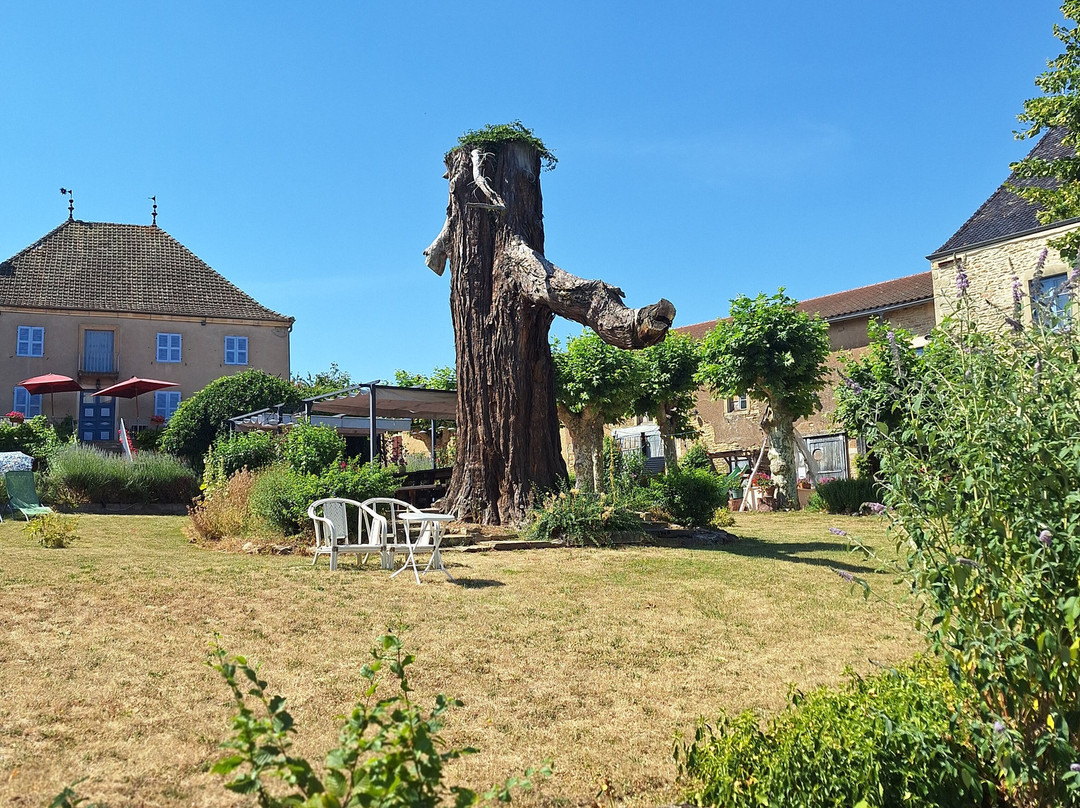 Le Clos Domange主图