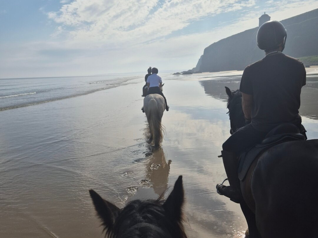 Bespoke Equestrian Ireland-都柏林必去景点