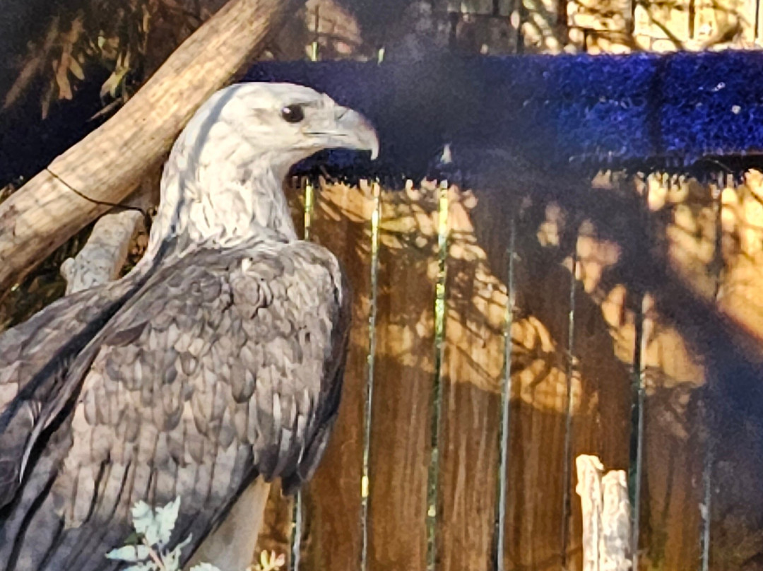 Raptor Refuge-Kettering必去景点