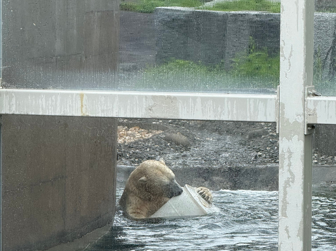 Aquarium du Québec-魁北克市必去景点