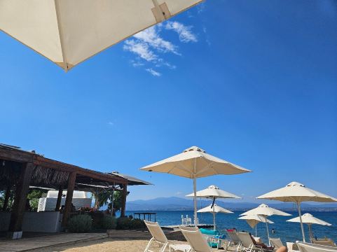 阿玛隆达水疗度假村-旅行者
