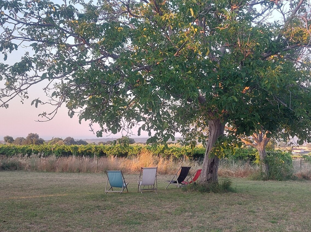 Tre Radici