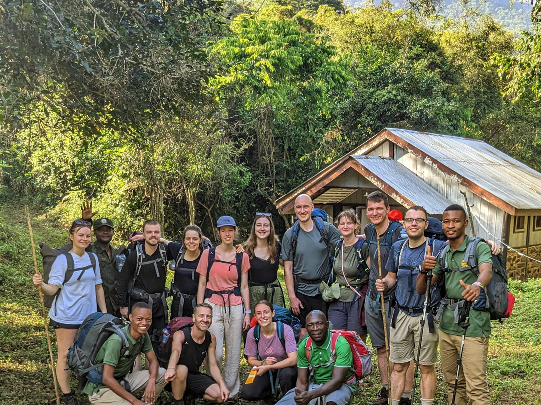 Udzungwa Mountains National Park-莫洛哥罗必去景点