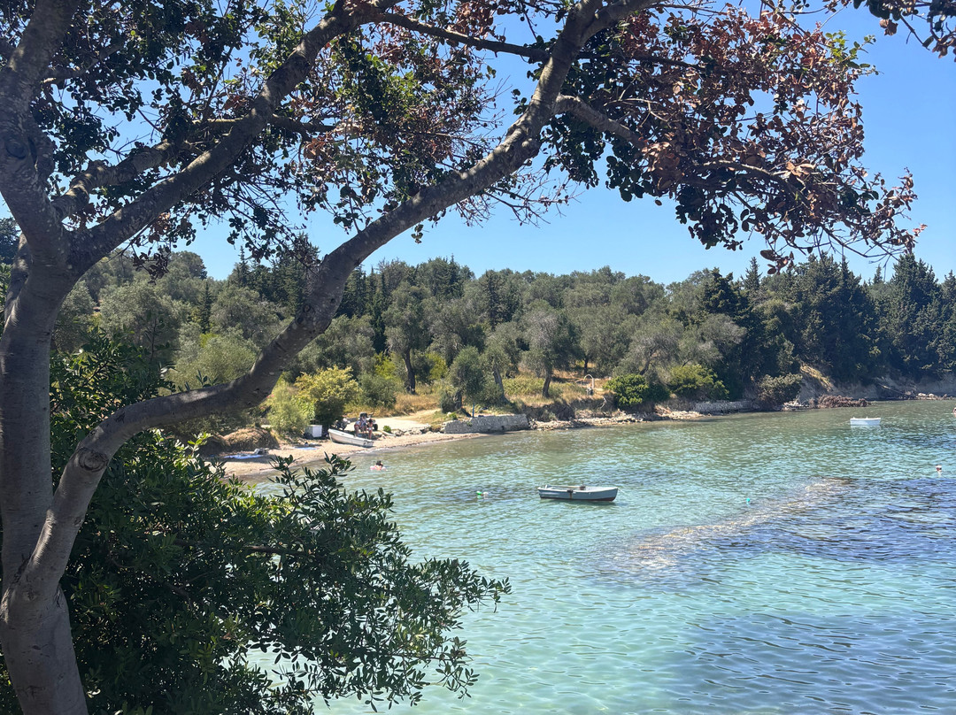 Captain Homer's Boat Trips-Messonghi必去景点