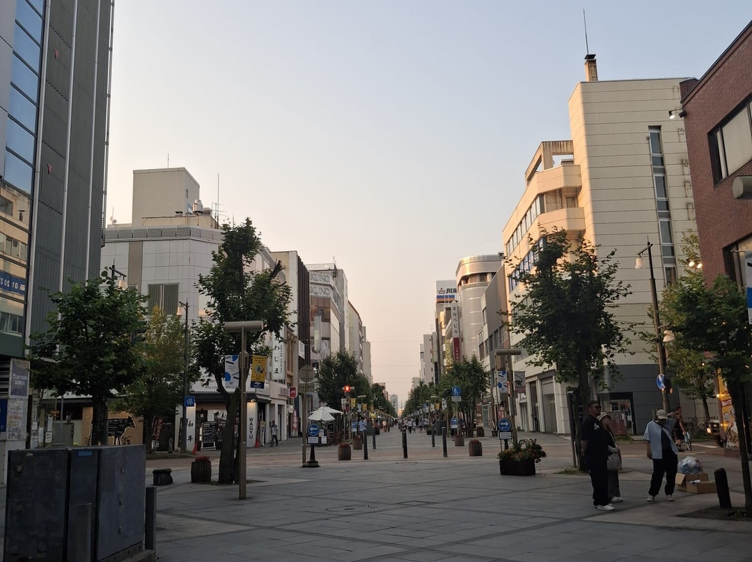 Asahikawa Heiwa Street Shopping Park-旭川市必去景点