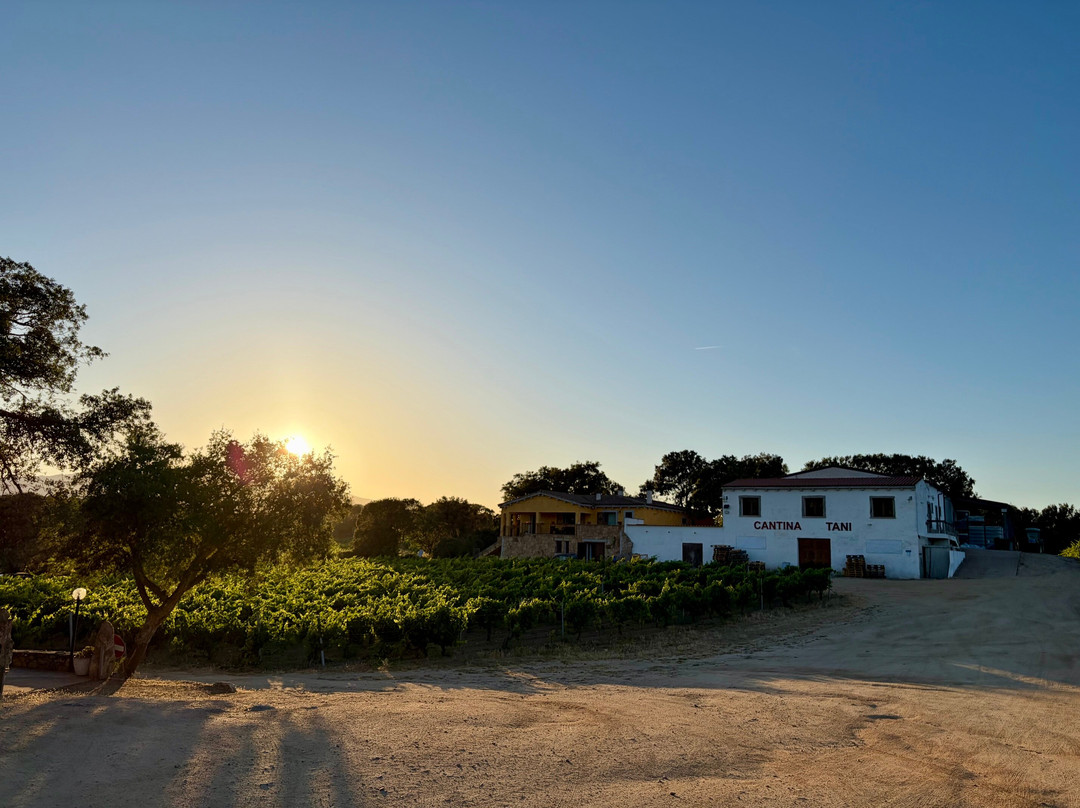 Agriturismo Vermentino主图