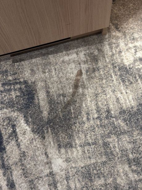 伍兹堡多林特酒店-旅行者
