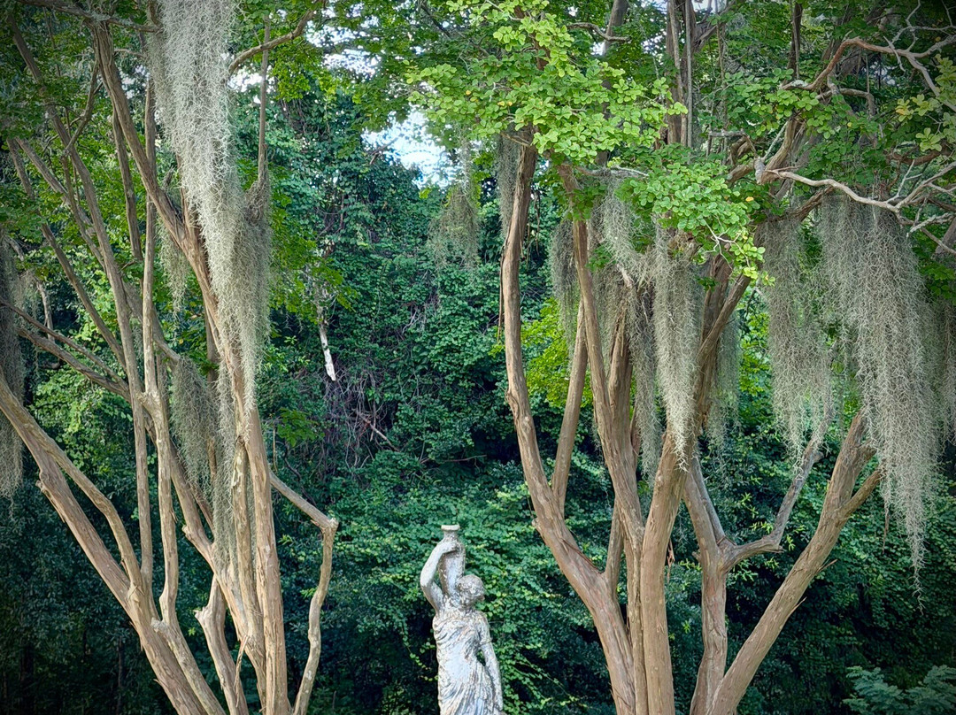 Canemount Plantation Inn主图