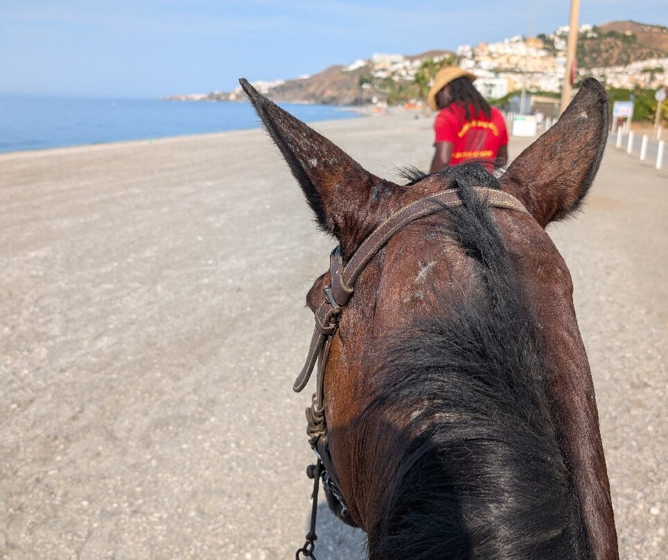 Andale Riding Nerja-内尔哈必去景点