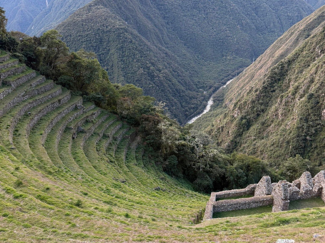 Alpaca Expeditions-库斯科必去景点