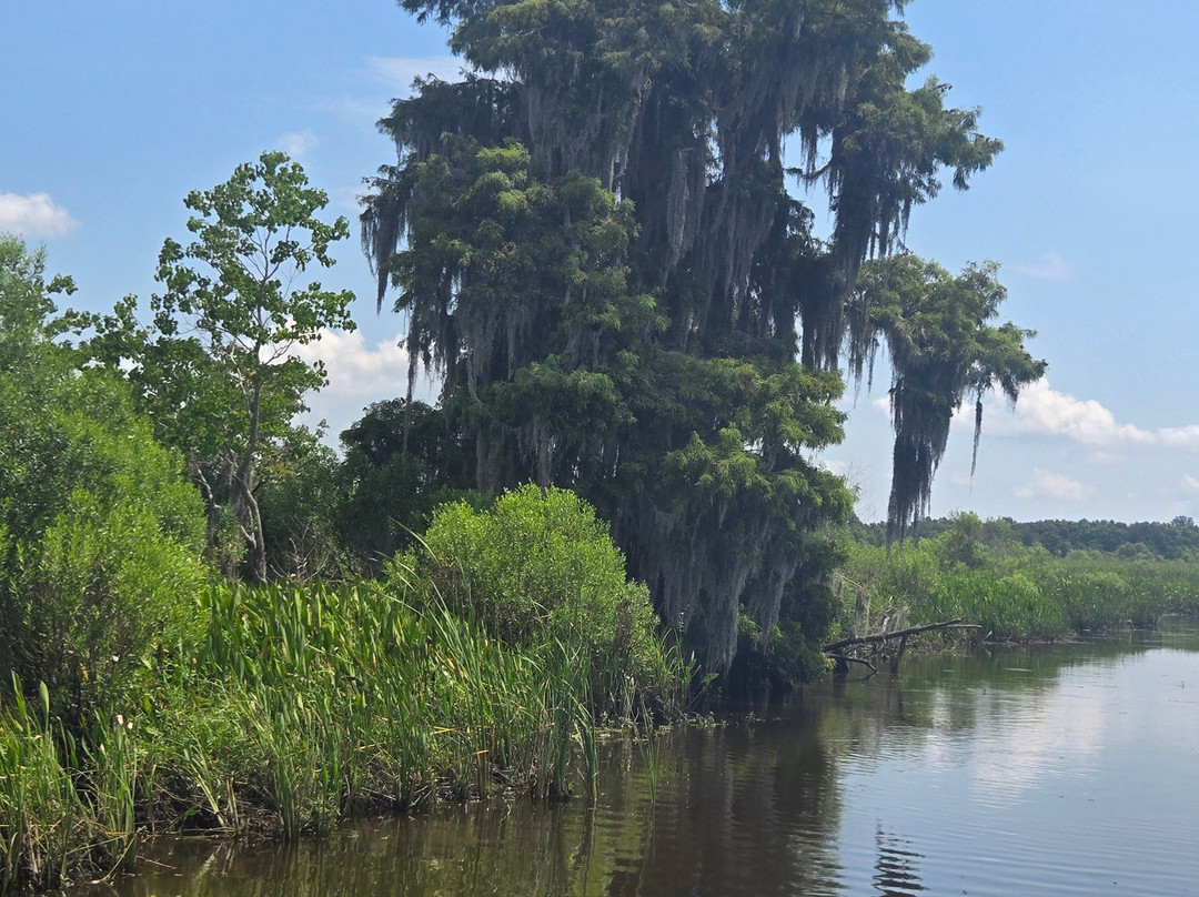 New Orleans Airboat Tours-Marrero必去景点